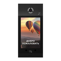 BAS-IP AA-14FBIS Black СКУД